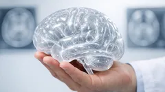 Warum kognitive Flexibilität mit dem Alter nachlässt – und was Myelin damit zu tun hat