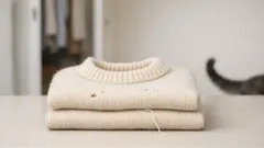 Wenn die Katze Kleidung anknabbert: Ursachen, Risiken und Soforthilfe für deinen Kleiderschrank