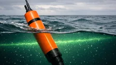 Phytoplankton im Schatten: Warum wir die Hälfte der Ozean-Biomasse bisher übersehen haben