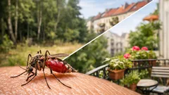 Warum mehr Mückenstiche ein Zeichen für Biodiversitätsverlust sein können