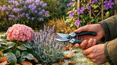 Herbstschnitt im Oktober: diese 4 Zierpflanzen lieber nicht radikal zurückschneiden